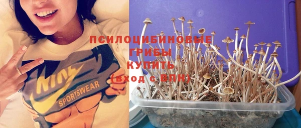 не бодяженный Белокуриха
