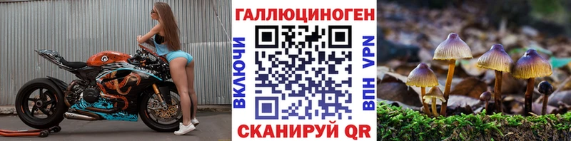 Галлюциногенные грибы Cubensis  Химки 